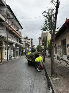 Διαρκής η φροντίδα του Δήμου Κατερίνης για το πράσινο – Συνεχίζονται εντατικά οι παρεμβάσεις