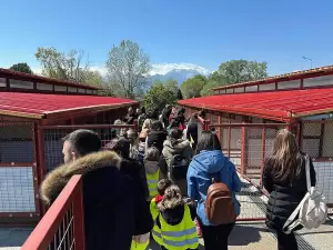 Δημοτικό Καταφύγιο Αδέσποτων Ζώων Κατερίνης: Εκπαιδευτικές Επισκέψεις Σχολείων – Μια Ανοικτή Πύλη Ευαισθητοποίησης