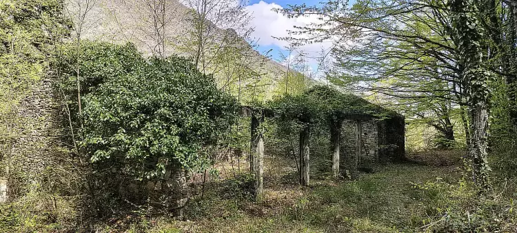 Φυσιολατρικός Σύλλογος  Λιτοχώρου «Όλυμπος»: Πρόγραμμα Δραστηριοτήτων Μαίου 2025