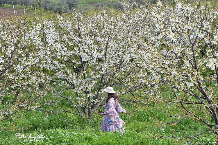 Κολινδρός Πιερίας: Μια ανοιξιάτικη απόδραση σε ένα ρομαντικό σκηνικό