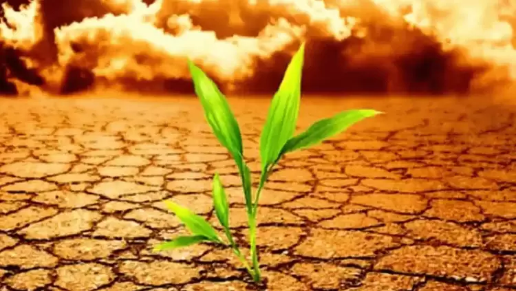 Ο μέσος άνθρωπος θα γίνει φτωχότερος κατά 40% αν η θερμοκρασία αυξηθεί κατά 4°c