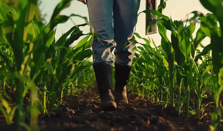 Ο «οδικός χάρτης» της Ευρώπης για γεωργία και τρόφιμα έως το 2040