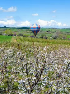 Η Πιερία στο λαμπρό γιορτάσι των Ανθισμένων Κερασιών