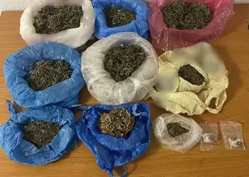 Πιερία: Σύλληψη 41χρονου για κατοχή κάνναβης σε αποθήκη αγροκτήματος