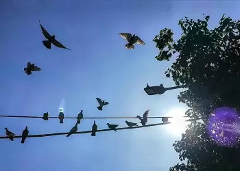 Πώς θα είναι ο καιρός σε Κατερίνη και Πιερία σήμερα Μεγάλο Σάββατο, 19 Απριλίου 2025: Αίθριος με λίγες νεφώσεις