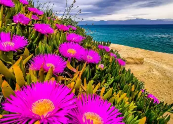 Πώς θα είναι ο καιρός σε Κατερίνη και Πιερία σήμερα Κυριακή του Πάσχα, 20 Απριλίου 2025: Αίθριος με αραιές νεφώσεις