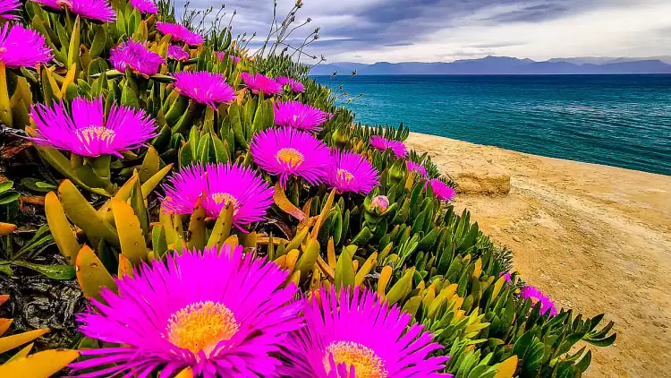 Πώς θα είναι ο καιρός σε Κατερίνη και Πιερία σήμερα Κυριακή του Πάσχα, 20 Απριλίου 2025: Αίθριος με αραιές νεφώσεις Πώς θα είναι ο καιρός σε Κατερίνη και Πιερία σήμερα Κυριακή του Πάσχα, 20 Απριλίου 2025: Αίθριος με αραιές νεφώσεις