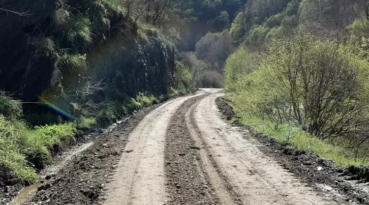 Σοφία Μαυρίδου: Αποκαταστάθηκε η πρόσβαση σε Σκοτεινά και Φτέρη μέσω 16ης Επαρχιακής Οδού