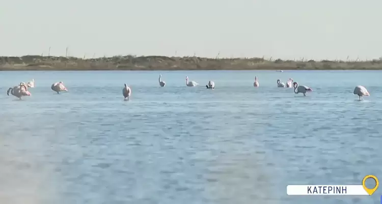 Στην Κατερίνη το «Όπου Υπάρχει Ελλάδα» του ΣΚΑΙ σήμερα στις στις 14.45 (trailer)