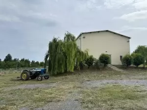 Terra Republic: Το Rockwave μετακομίζει στο Βορρά με το Διονύση Σαββόπουλο