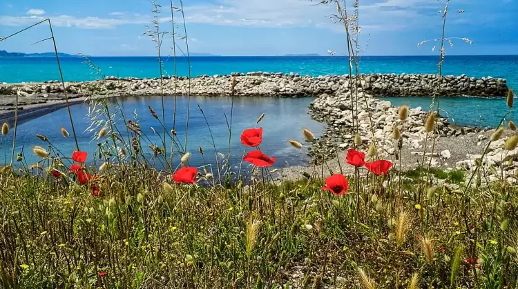 Πώς θα είναι ο καιρός σε Κατερίνη και Πιερία σήμερα Πέμπτη, 01 Μαΐου 2025: Γενικά αίθριος με λίγες νεφώσεις αίθριος-καιρός-νεφώσεις