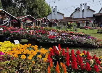 Ανθοκομική Έκθεση Κατερίνης 2025