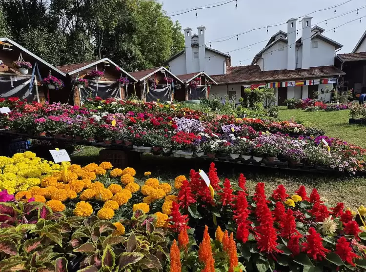 Ανθοκομική Έκθεση Κατερίνης 2025