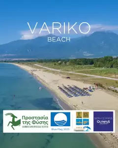 Εννέα ακτές του Δήμου Δίου Ολύμπου βραβεύτηκαν με «Γαλάζια Σημαία» – δύο περισσότερες σε σχέση με το 2024