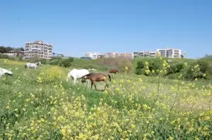 Φωτογραφική ομάδα Κατερίνης: Έκθεση φωτογραφίας με θέμα «Στην αγκαλιά της φύσης».