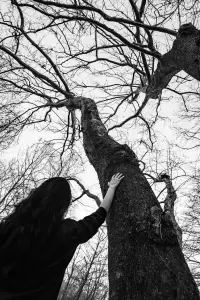 Φωτογραφική ομάδα Κατερίνης: Έκθεση φωτογραφίας με θέμα «Στην αγκαλιά της φύσης».