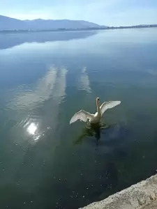 Φωτογραφική ομάδα Κατερίνης: Έκθεση φωτογραφίας με θέμα «Στην αγκαλιά της φύσης».