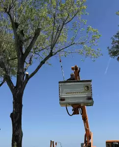 Κατερίνη: Προετοιμασίες του Δήμου για Φιλόξενο Παραλιακό Μέτωπο