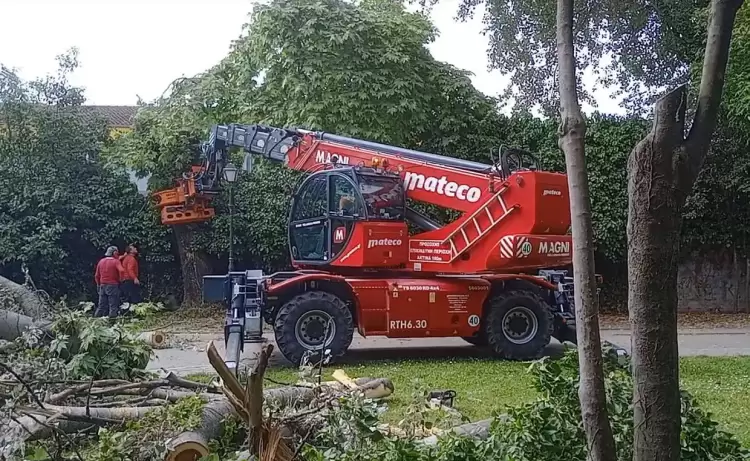 Κατερίνη: Προληπτικές κλαδεύσεις δέντρων στο Σιντριβάνι και στο Δημοτικό Πάρκο