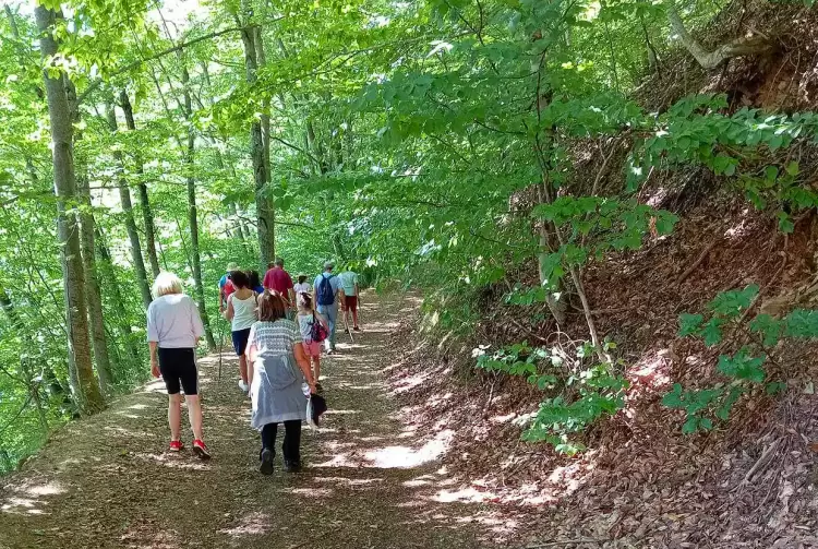 Μάιος, ιδανικός μήνας για περίπατο στο δάσος