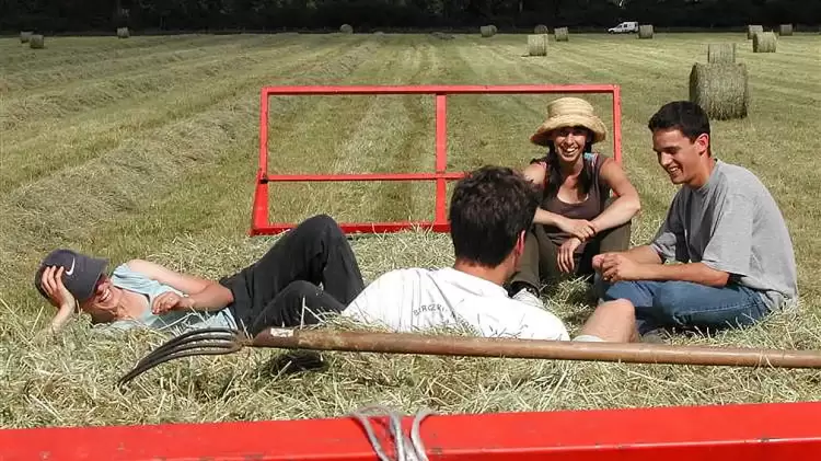 Νέα προγράμματα στήριξης για νέους αγρότες και κτηνοτρόφους