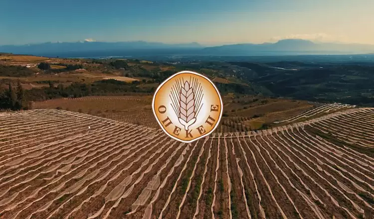 ΟΠΕΚΕΠΕ: Πώς φτάσαμε στην κατάργηση και την ενσωμάτωση στην ΑΑΔΕ ΟΠΕΚΕΠΕ: Πώς φτάσαμε στην κατάργηση και την ενσωμάτωση στην ΑΑΔΕ