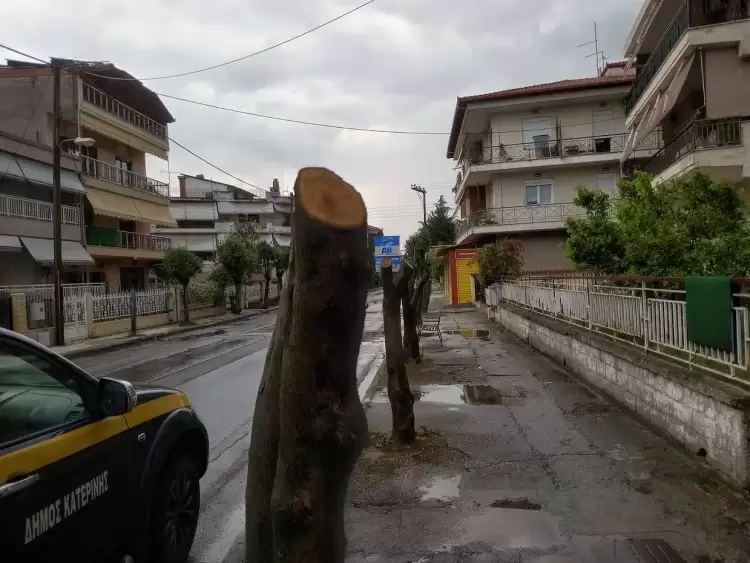 Όταν το δημόσιο πράσινο γίνεται θύμα ιδιωτικής αυθαιρεσίας Όταν το δημόσιο πράσινο γίνεται θύμα ιδιωτικής αυθαιρεσίας