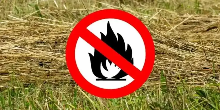 Πιερία: Προειδοποίηση για πρόκληση πυρκαγιών από αγροτικές εργασίες – Τι απαγορεύεται Πιερία: Προειδοποίηση για πρόκληση πυρκαγιών από αγροτικές εργασίες – Τι απαγορεύεται