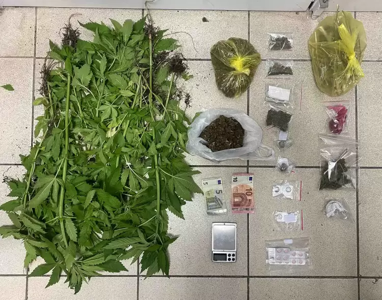 Πιερία: Συνελήφθησαν δύο άνδρες για διακίνηση ναρκωτικών – Βρέθηκαν 45 δενδρύλλια κάνναβης