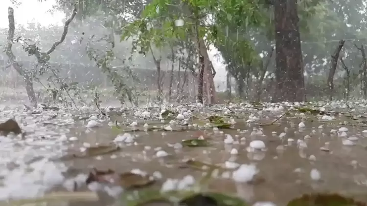 «Πράσινο φως» για τον ανάδοχο του Προγράμματος Χαλαζικής Προστασίας «Πράσινο φως» για τον ανάδοχο του Προγράμματος Χαλαζικής Προστασίας