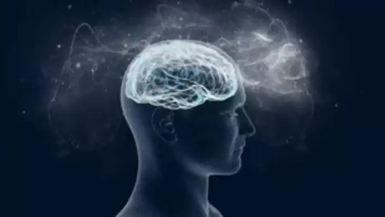 Το ποσοστό των ασθενών με άνοια μπορεί να μειωθεί κατά 45% αν τεθούν υπό έλεγχο 12+2 παράγοντες Το ποσοστό των ασθενών με άνοια μπορεί να μειωθεί κατά 45% αν τεθούν υπό έλεγχο 12+2 παράγοντες