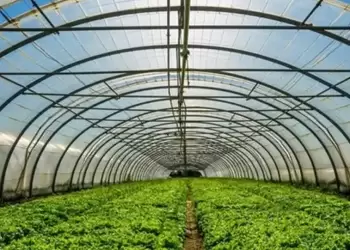 Ξεκινά το πρόγραμμα ενίσχυσης θερμοκηπιακών καλλιεργειών
