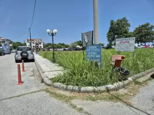 Πέτρος Κιάφας: Θα σταθμεύσουν οι επισκέπτες ή θα θερίσουν; Πέτρος Κιάφας: Θα σταθμεύσουν οι επισκέπτες ή θα θερίσουν;