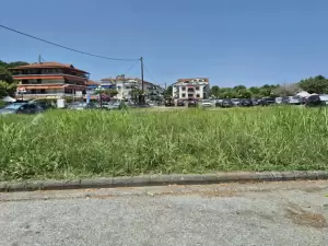 Πέτρος Κιάφας: Θα σταθμεύσουν οι επισκέπτες ή θα θερίσουν; Πέτρος Κιάφας: Θα σταθμεύσουν οι επισκέπτες ή θα θερίσουν;