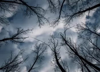 Έκτακτο δελτίο επιδείνωσης καιρού: 48ωρη κακοκαιρία με καταιγίδες και ισχυρούς ανέμους