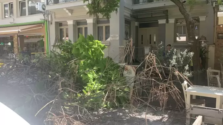 Ευπρεπισμός της οδού Αγίας Λαύρας από τον Δήμο Κατερίνης