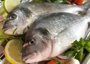 Φάτε μάτια ψάρια και η κοιλιά περίδρομο