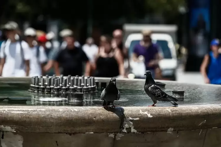 Καιρός: Προ των πυλών ο πρώτος καύσωνας του καλοκαιριού – Πού θα “χτυπήσουν” 39άρια