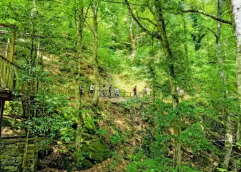 Κατερίνη: Γιορτή για το περιβάλλον και το βιβλίο στην Άνω Μηλιά