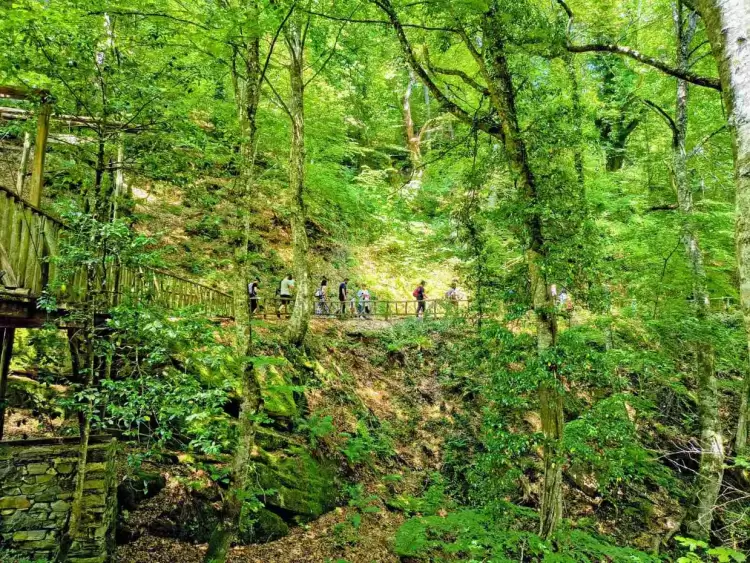 Κατερίνη: Γιορτή για το περιβάλλον και το βιβλίο στην Άνω Μηλιά