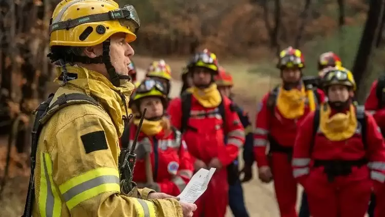 Οι εθελοντές στη μάχη για προστασία των δασών μας