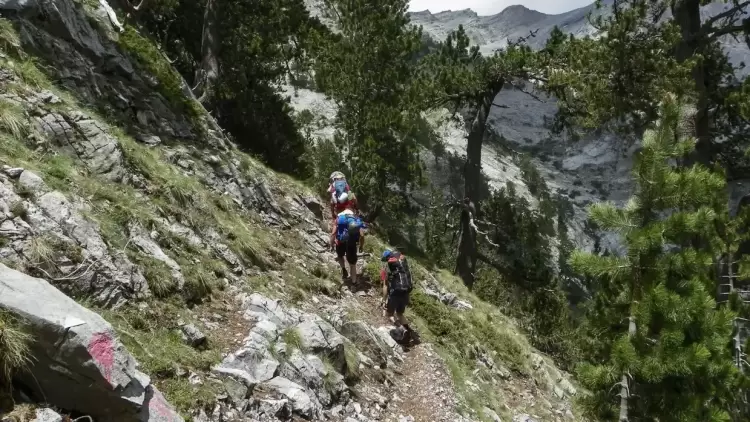 Όλυμπος: Επιχείρηση ανάσυρσης πεζοπόρου - Εντοπίστηκε χωρίς τις αισθήσεις της Όλυμπος: Επιχείρηση ανάσυρσης πεζοπόρου – Εντοπίστηκε χωρίς τις αισθήσεις της