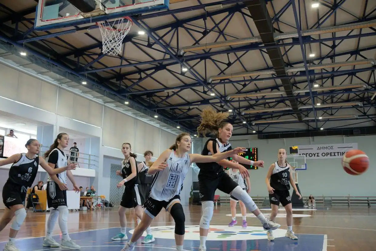 ΠΑΟΚ – Πιερικός Αρχέλαος 58-31: Μίλησε η εμπειρία ΠΑΟΚ – Πιερικός Αρχέλαος 58 31: Μίλησε η εμπειρία