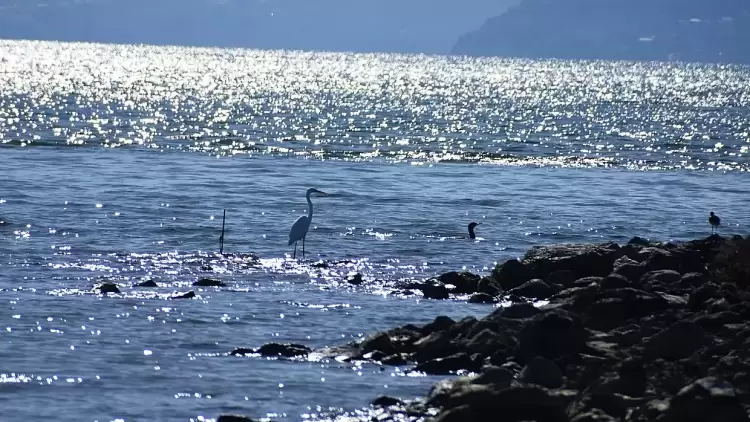 Πώς θα είναι ο καιρός σε Κατερίνη και Πιερία σήμερα Τετάρτη, 25 Ιουνίου 2025: Γενικά αίθριος με άνοδο της θερμοκρασίας