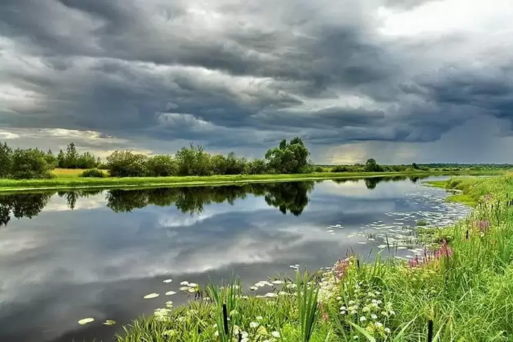 Προβολή ταινίας «Αλληλεξάρτηση» στην Κατερίνη για την Παγκόσμια Ημέρα Περιβάλλοντος