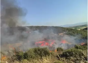 Πυροσβεστική Υπηρεσία Πιερίας: Συστάσεις για Πρόληψη Πυρκαγιών 2025