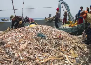 Τα ψάρια τελειώνουν