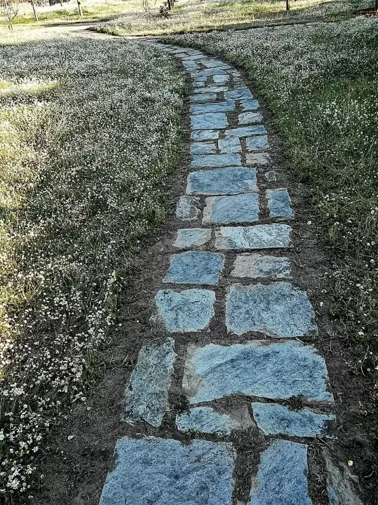 Το ανθισμένο μονοπάτι στον Ενιπέα