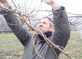 Τρεις μήνες στην ανάταση