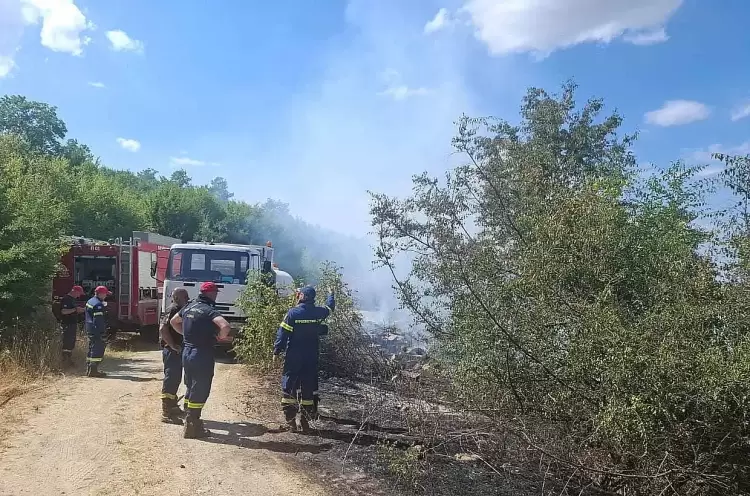 Άμεση παρέμβαση του Δήμου Κατερίνης στην πυρκαγιά κοντά στην Έλαφο Άμεση παρέμβαση του Δήμου Κατερίνης στην πυρκαγιά κοντά στην Έλαφο